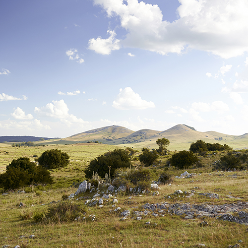 Clasificados de comercios en Lavalleja